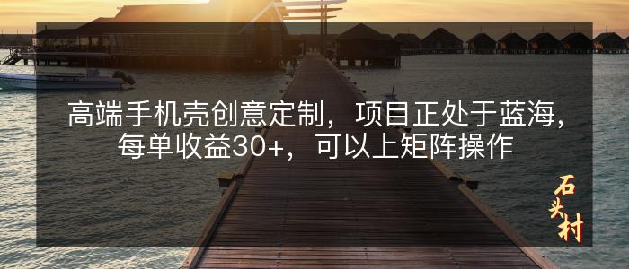 高端手机壳创意定制，项目正处于蓝海，每单收益30+，可以上矩阵操作