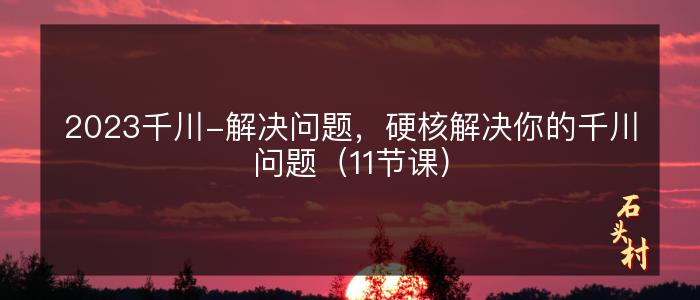 2023千川-解决问题，硬核解决你的千川问题（11节课）