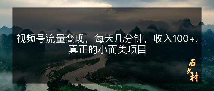 视频号流量变现，每天几分钟，收入100+，真正的小而美项目