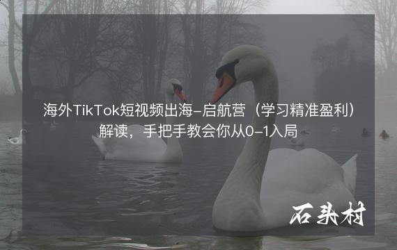 海外TikTok短视频出海-启航营（学习精准盈利）解读，手把手教会你从0-1入局