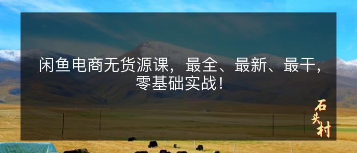 闲鱼电商无货源课，最全、最新、最干，零基础实战！