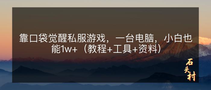 靠口袋觉醒私服游戏，一台电脑，小白也能1w+（教程+工具+资料）