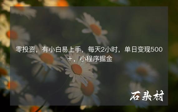 零投资，有小白易上手，每天2小时，单日变现500＋，小程序掘金