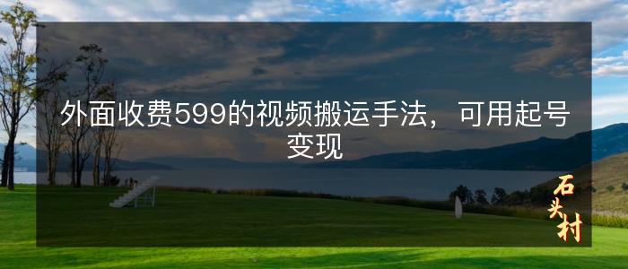 外面收费599的视频搬运手法，可用起号变现