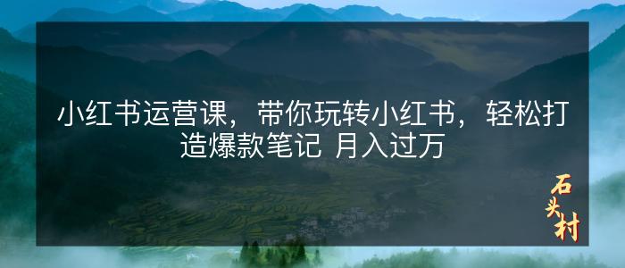 小红书运营课，带你玩转小红书，轻松打造爆款笔记 月入过万