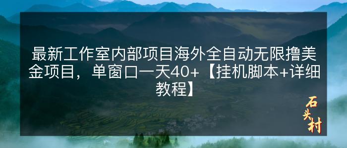 最新工作室内部项目海外全自动无限撸美金项目，单窗口一天40+【挂机脚本+详细教程】