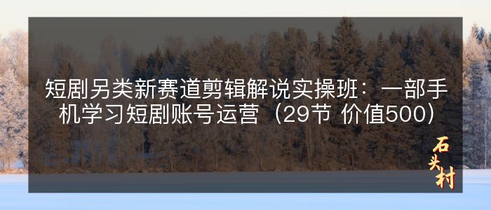 短剧另类新赛道剪辑解说实操班：一部手机学习短剧账号运营（29节 价值500）