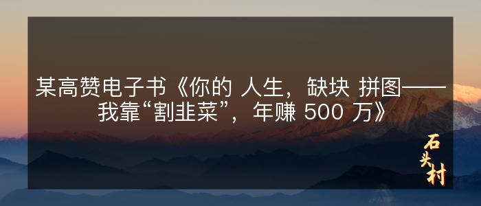 某高赞电子书《你的 人生，缺块 拼图——我靠“割韭菜”，年赚 500 万》