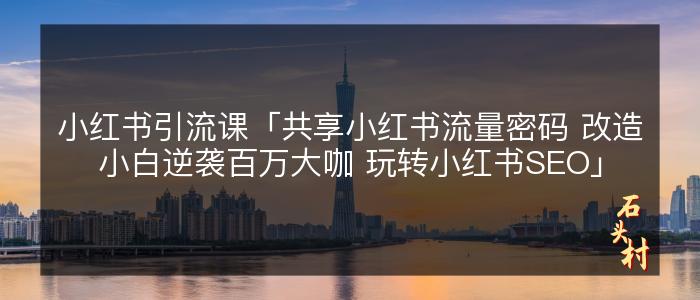 小红书引流课「共享小红书流量密码 改造小白逆袭百万大咖 玩转小红书SEO」