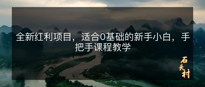 全新红利项目，适合0基础的新手小白，手把手课程教学