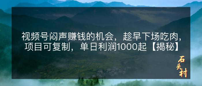 视频号闷声赚钱的机会，趁早下场吃肉，项目可复制，单日利润1000起【揭秘】