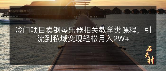 冷门项目卖钢琴乐器相关教学类课程，引流到私域变现轻松月入2W+