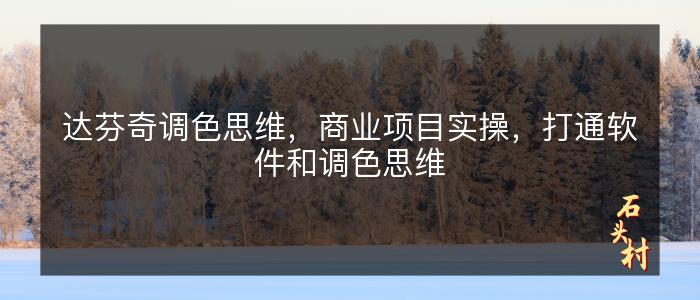 达芬奇调色思维，商业项目实操，打通软件和调色思维