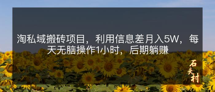 淘私域搬砖项目，利用信息差月入5W，每天无脑操作1小时，后期躺赚