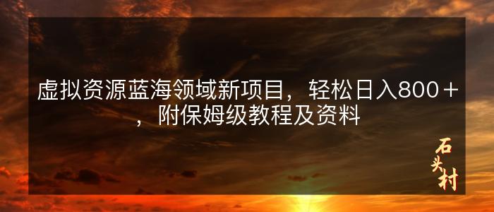 虚拟资源蓝海领域新项目，轻松日入800＋，附保姆级教程及资料
