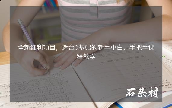 全新红利项目，适合0基础的新手小白，手把手课程教学