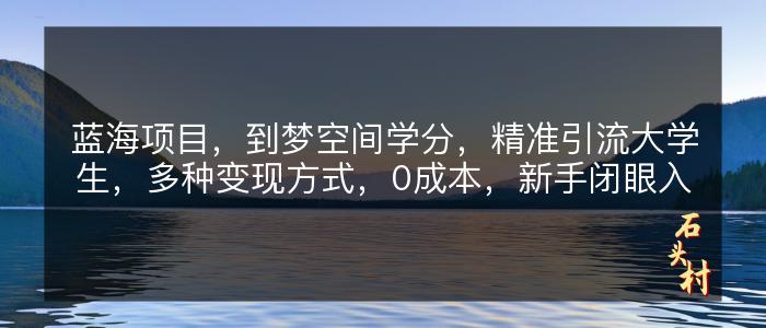 蓝海项目，到梦空间学分，精准引流大学生，多种变现方式，0成本，新手闭眼入