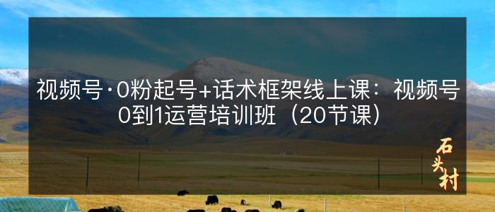 视频号·0粉起号+话术框架线上课：视频号0到1运营培训班（20节课）