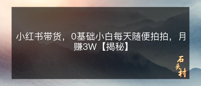 小红书带货，0基础小白每天随便拍拍，月赚3W【揭秘】