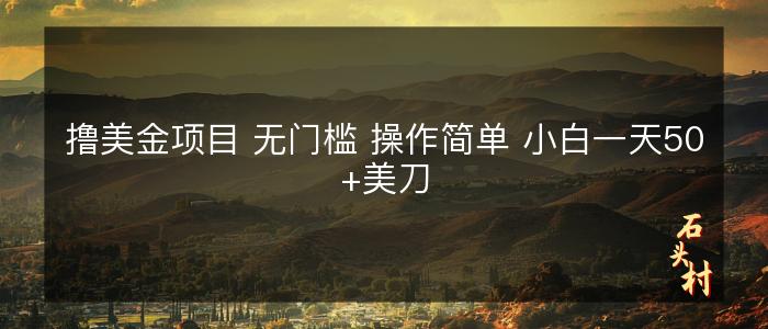 撸美金项目 无门槛 操作简单 小白一天50+美刀