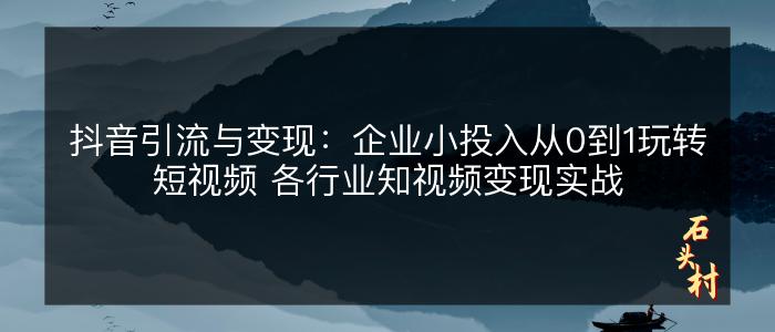 抖音引流与变现：企业小投入从0到1玩转短视频 各行业知视频变现实战