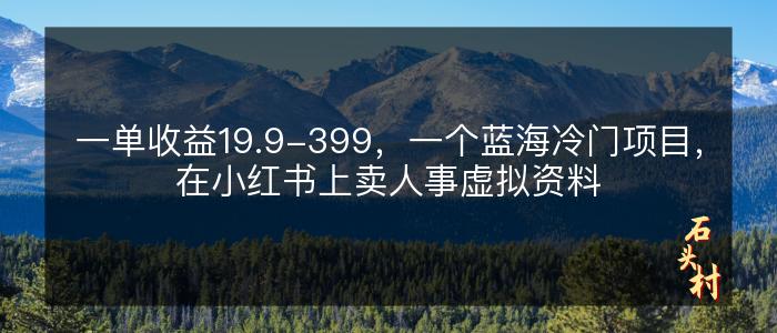 一单收益19.9-399，一个蓝海冷门项目，在小红书上卖人事虚拟资料