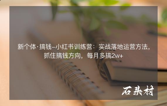 新个体·搞钱-小红书训练营：实战落地运营方法，抓住搞钱方向，每月多搞2w+