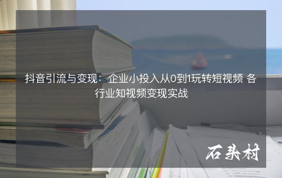 抖音引流与变现：企业小投入从0到1玩转短视频 各行业知视频变现实战