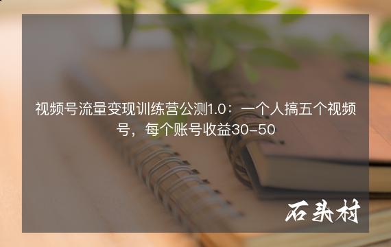 视频号流量变现训练营公测1.0：一个人搞五个视频号，每个账号收益30-50