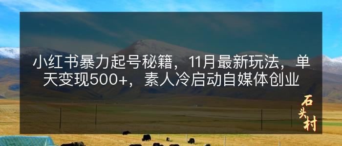 小红书暴力起号秘籍，11月最新玩法，单天变现500+，素人冷启动自媒体创业