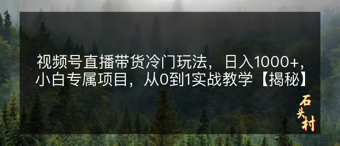视频号直播带货冷门玩法，日入1000+，小白专属项目，从0到1实战教学【揭秘】