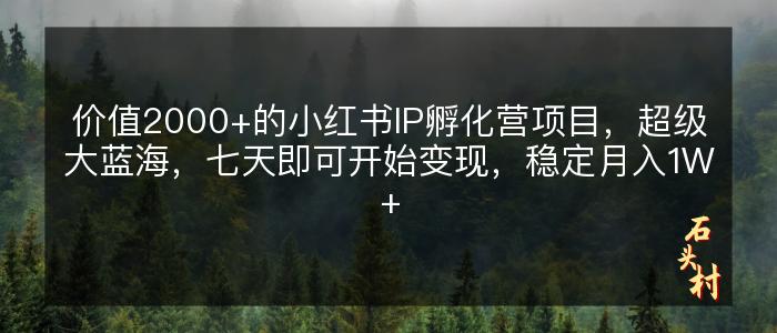 价值2000+的小红书IP孵化营项目，超级大蓝海，七天即可开始变现，稳定月入1W+