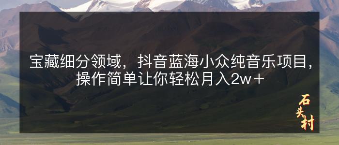 宝藏细分领域，抖音蓝海小众纯音乐项目，操作简单让你轻松月入2w＋