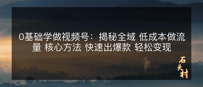 0基础学做视频号：揭秘全域 低成本做流量 核心方法 快速出爆款 轻松变现