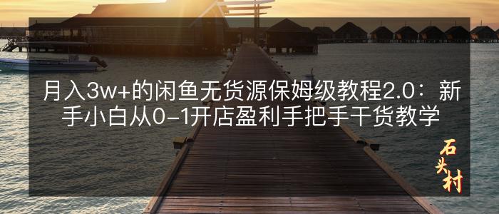 月入3w+的闲鱼无货源保姆级教程2.0：新手小白从0-1开店盈利手把手干货教学