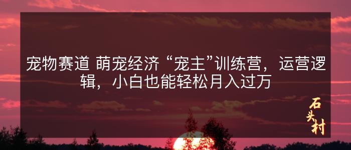 宠物赛道 萌宠经济 “宠主”训练营，运营逻辑，小白也能轻松月入过万