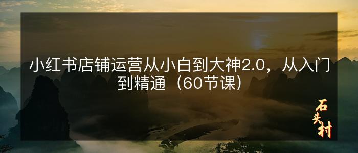 小红书店铺运营从小白到大神2.0，从入门到精通（60节课）