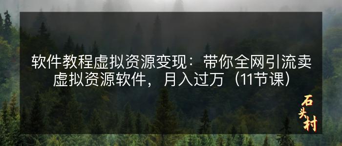 软件教程虚拟资源变现：带你全网引流卖虚拟资源软件，月入过万（11节课）