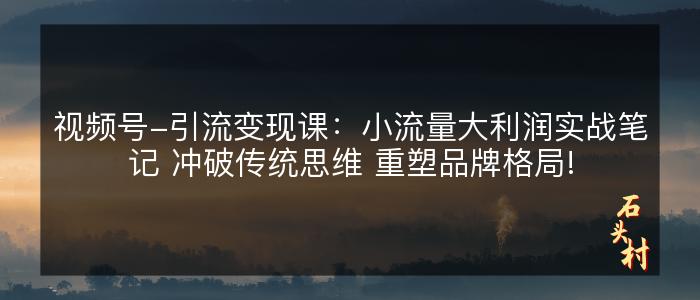 视频号-引流变现课：小流量大利润实战笔记 冲破传统思维 重塑品牌格局!