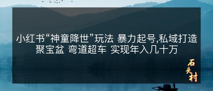 小红书“神童降世”玩法 暴力起号,私域打造聚宝盆 弯道超车 实现年入几十万