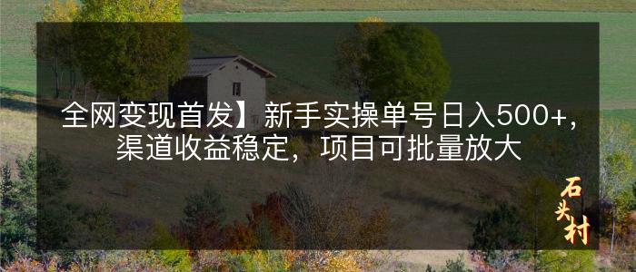 全网变现首发】新手实操单号日入500+，渠道收益稳定，项目可批量放大