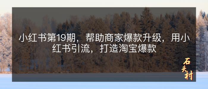 小红书第19期，帮助商家爆款升级，用小红书引流，打造淘宝爆款