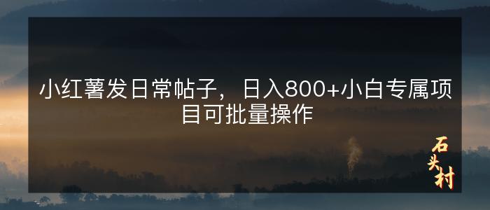 小红薯发日常帖子，日入800+小白专属项目可批量操作