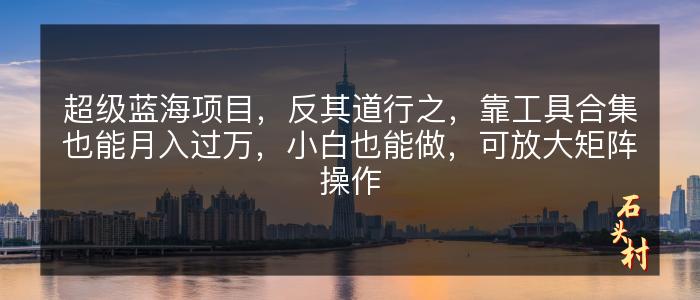 超级蓝海项目，反其道行之，靠工具合集也能月入过万，小白也能做，可放大矩阵操作