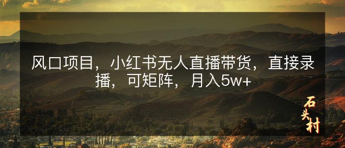 风口项目，小红书无人直播带货，直接录播，可矩阵，月入5w+