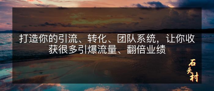 打造你的引流、转化、团队系统，让你收获很多引爆流量、翻倍业绩