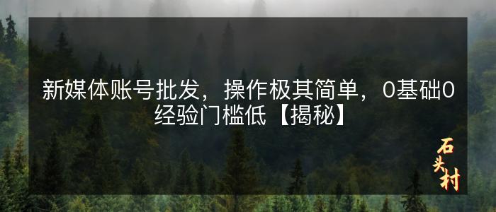 新媒体账号批发，操作极其简单，0基础0经验门槛低【揭秘】