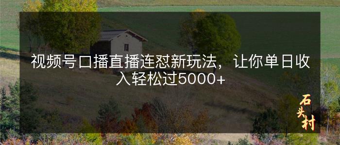 视频号口播直播连怼新玩法，让你单日收入轻松过5000+