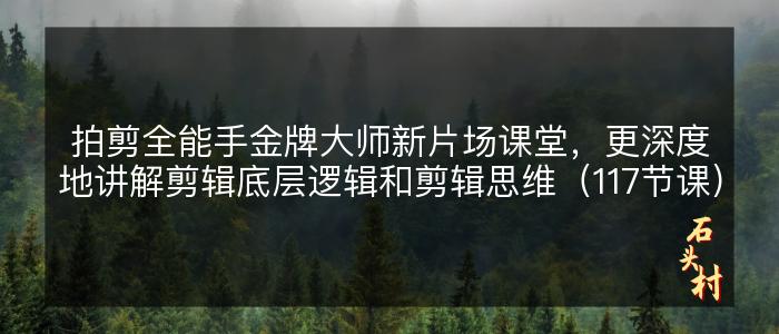 拍剪全能手金牌大师新片场课堂，更深度地讲解剪辑底层逻辑和剪辑思维（117节课）