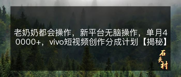 老奶奶都会操作，新平台无脑操作，单月40000+，vivo短视频创作分成计划【揭秘】